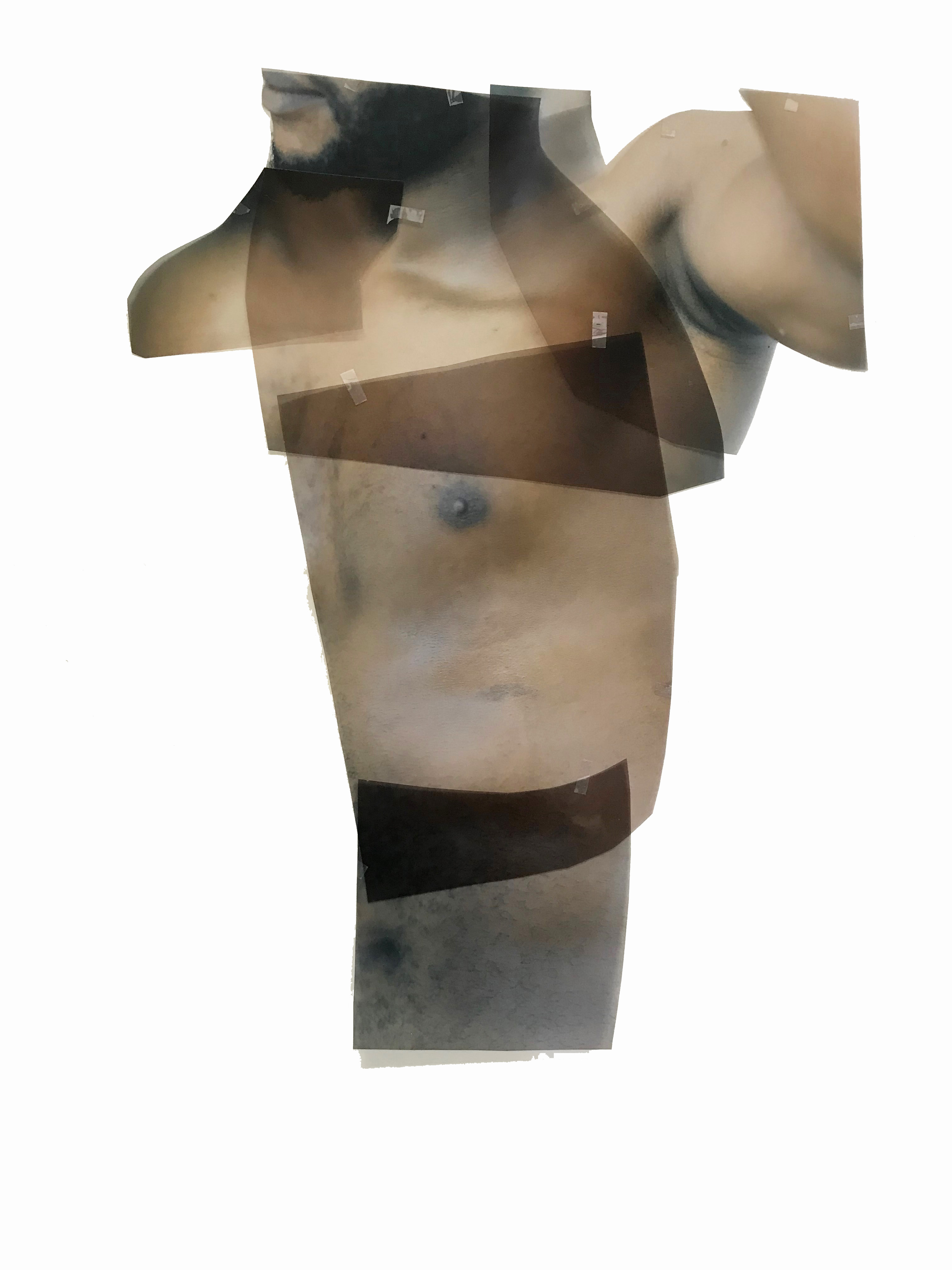 Torso Study 2