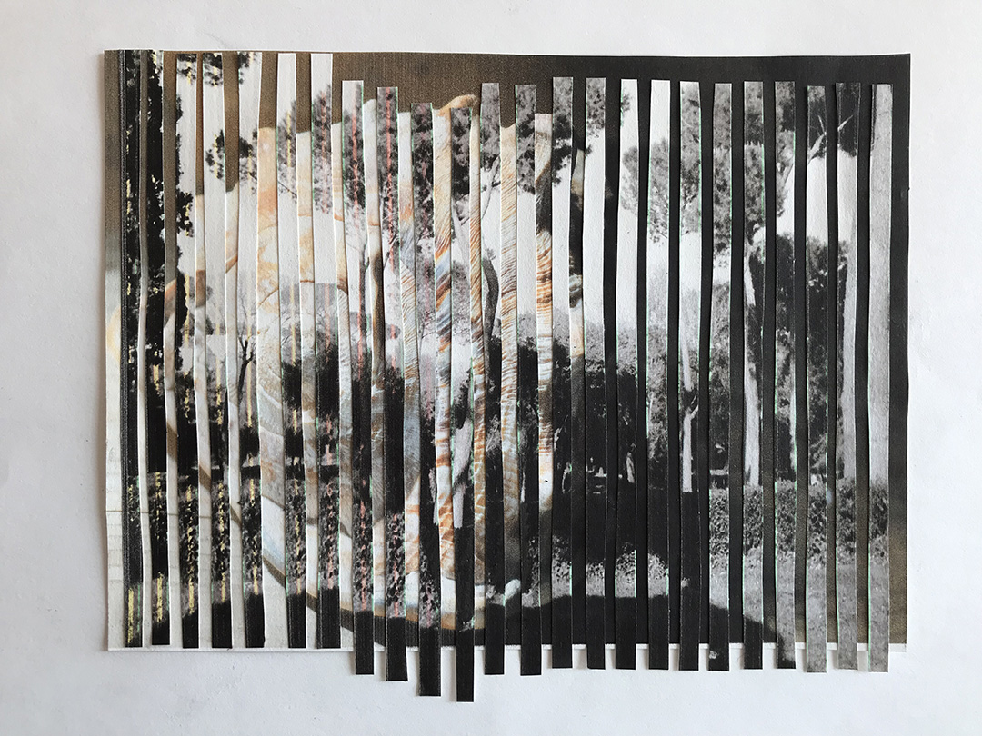 Landscape with a Shell